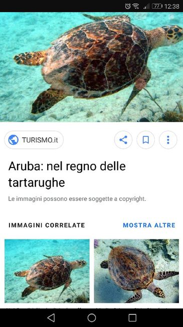 Sud America e Caraibi - 4