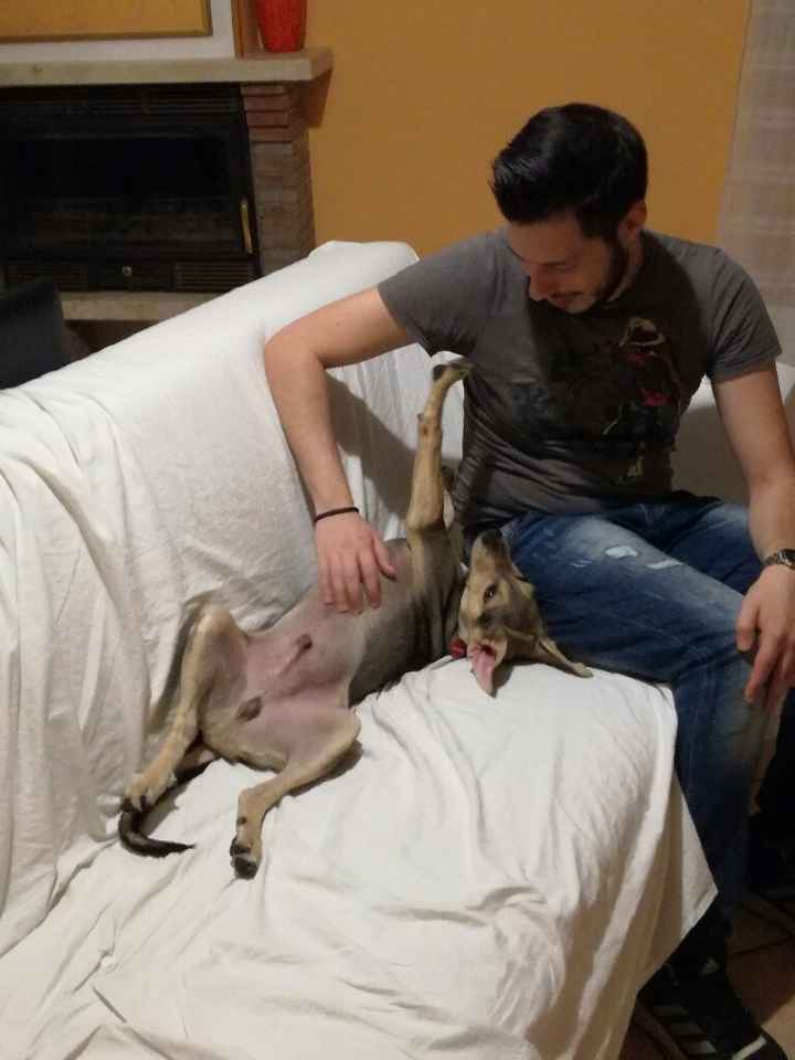  La famiglia si allarga.... - 2