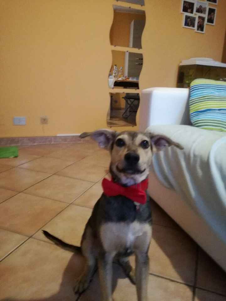  Invitato d'onore.. - 1