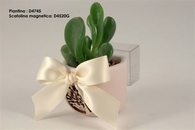 cuorematto piantina calamita