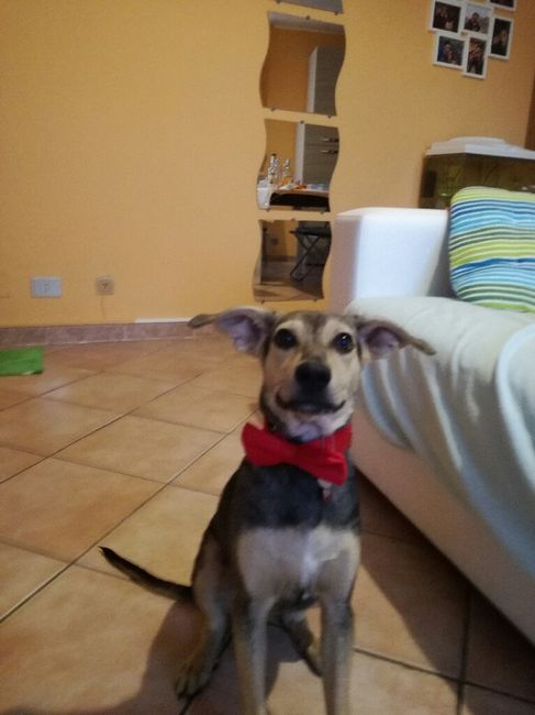  La famiglia si allarga 😂 - 2