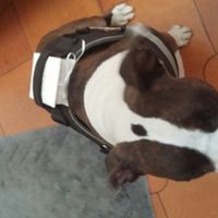 La mia "porta fedi" - 2