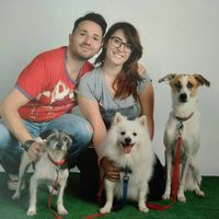 io il mio fm e i nostri 3 figli pelosi