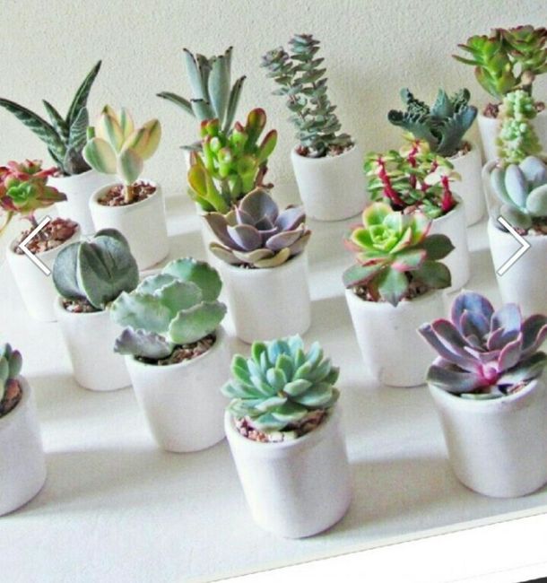 Bomboniere e sacchettini per confetti :) - 2