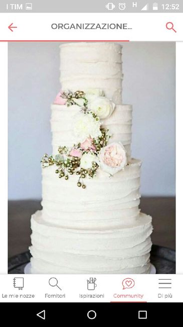 Scelta della torta - 1