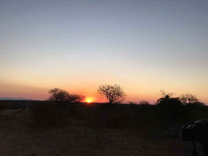 Viaggio sud africa e seychelles ?? - 2