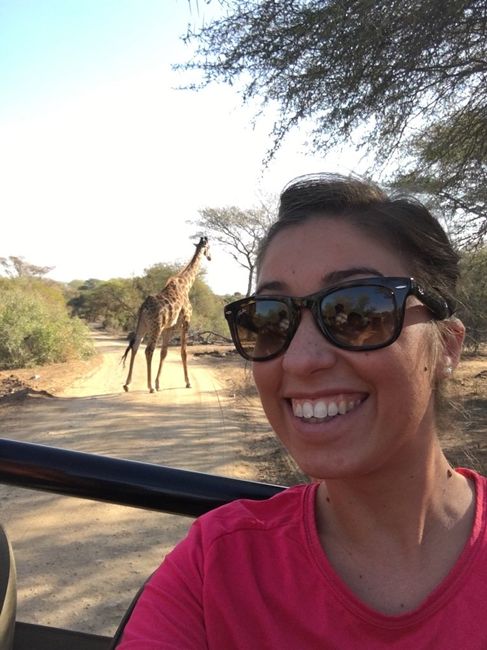 Viaggio sud africa e seychelles ?? - 3