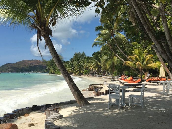 Viaggio sud africa e seychelles ?? - 7