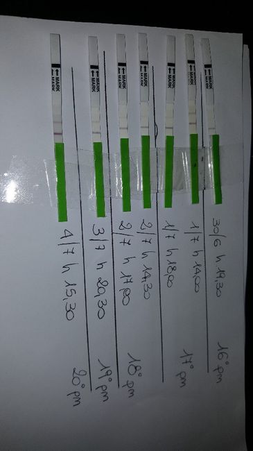 Iniziamo con gli stick 😊 - 1