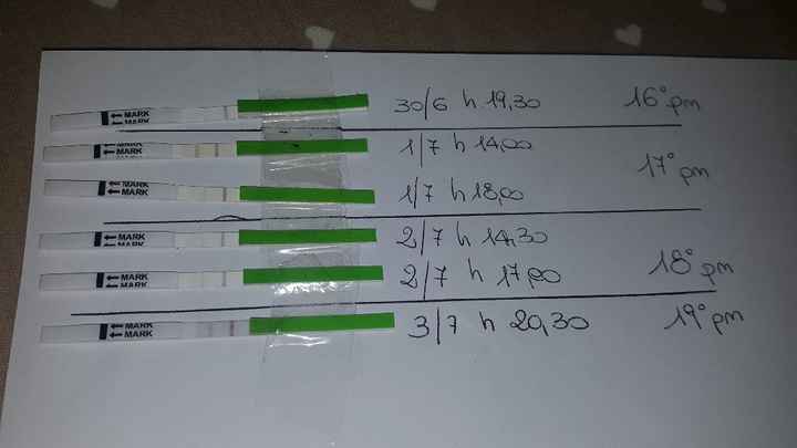 Iniziamo con gli stick 😊 - 1
