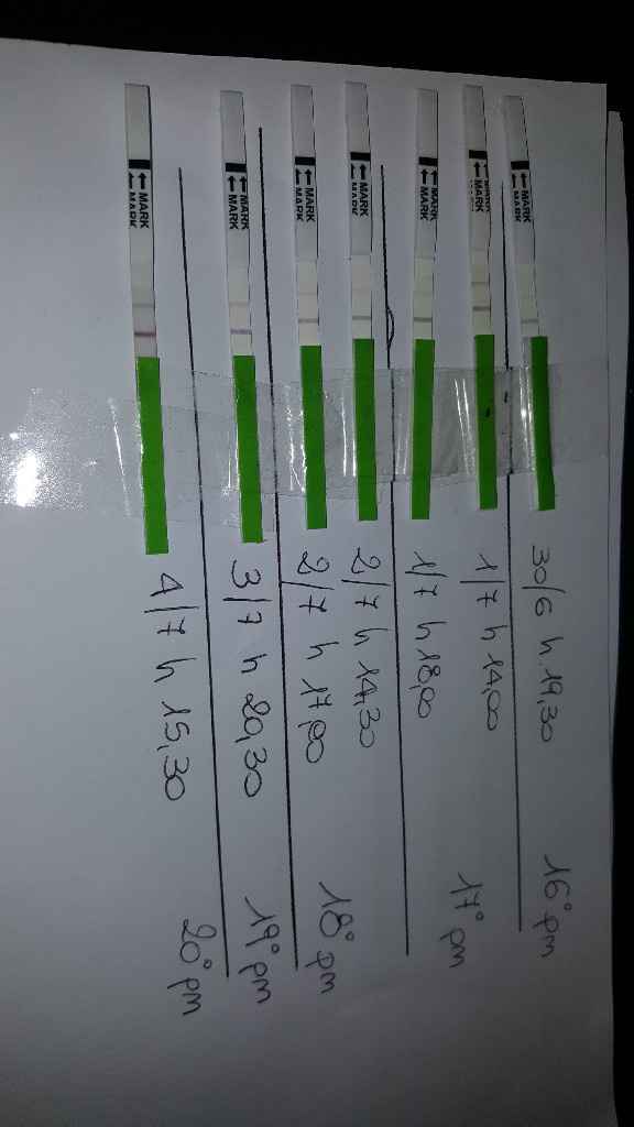 Iniziamo con gli stick 😊 - 1