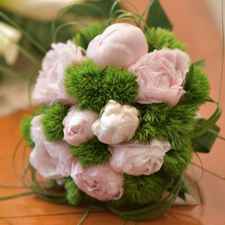 Help Viaggio Di Nozze Giappone Polinesia Francese Luna Di Miele Forum Matrimonio Com