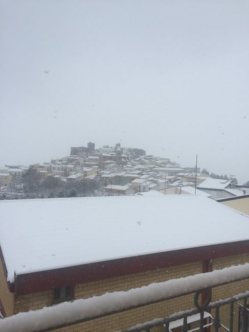 -43 e a Napoli nevica😱 - 1