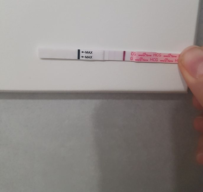 Chi non le aspetta per maggio 2024 🌹💛 1