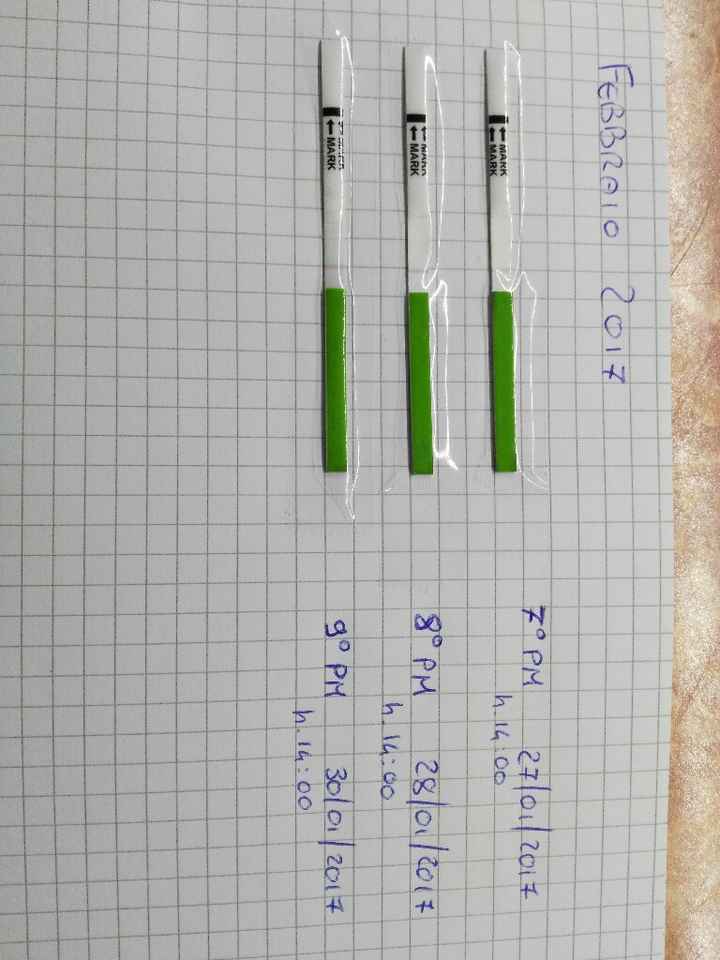 Che test ovulazione scegliere - 1