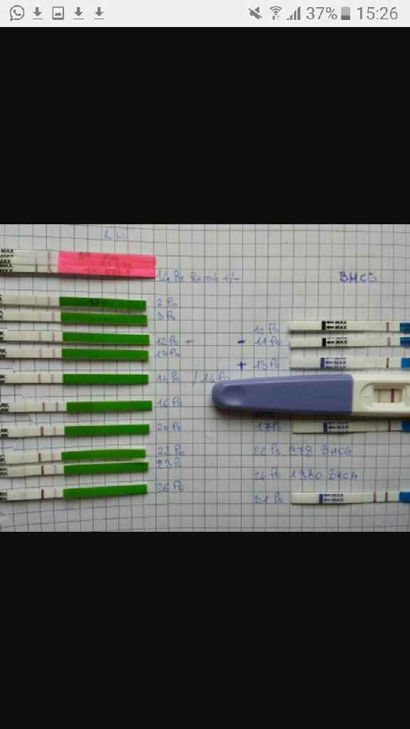 Che test ovulazione scegliere - 1