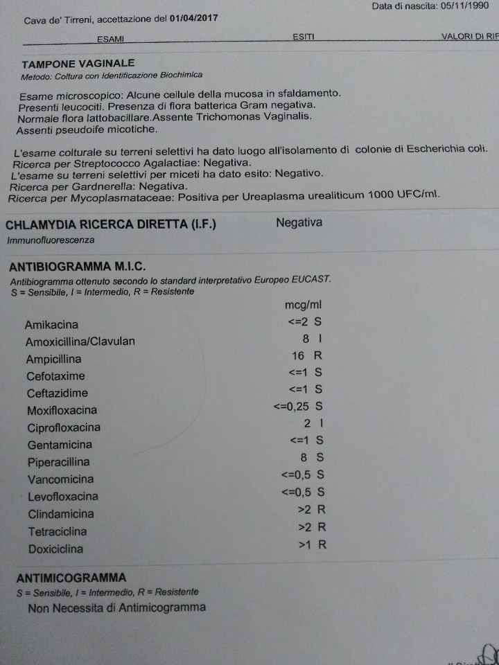 Tampone positivo a escherichia coli e ureaplasma...aiutoooo - 1