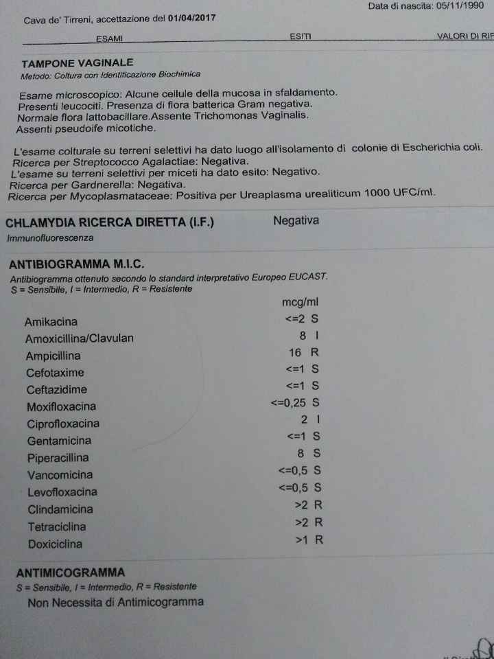 Tampone positivo a escherichia coli e ureaplasma...aiutoooo - 1