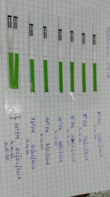 Secondo voi è positivo questo test di ovulazione? - 1