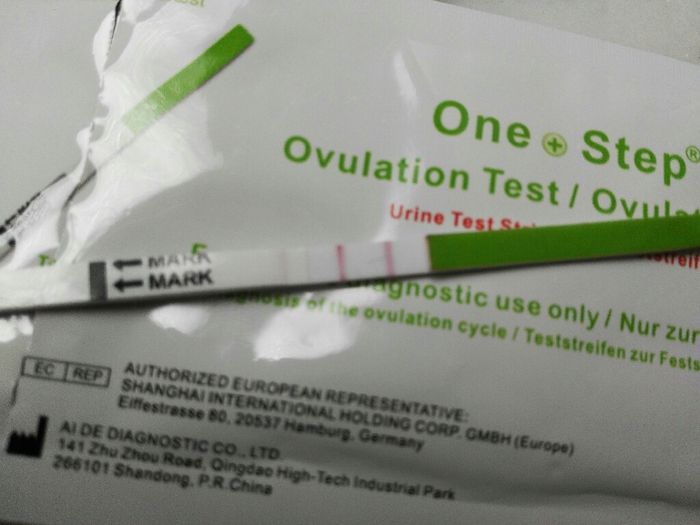 Secondo voi è positivo questo test di ovulazione? - 2