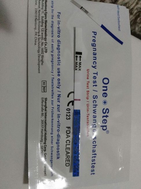 Perdite da impianto 1