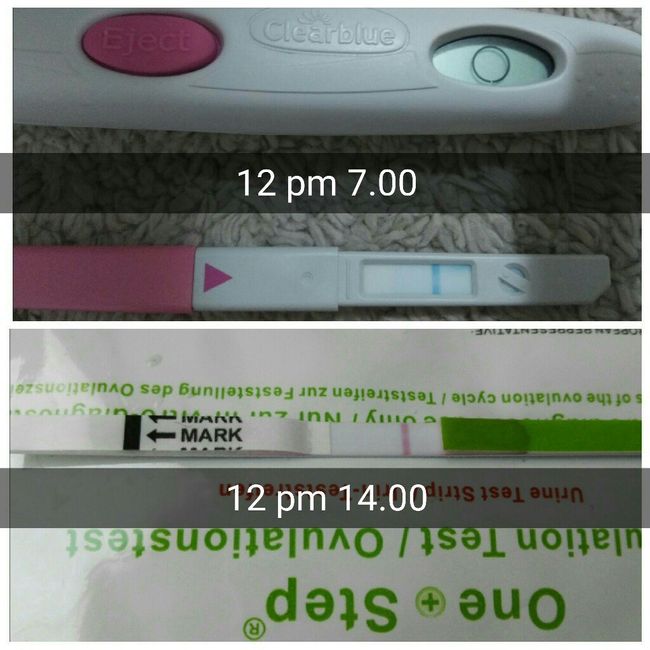 Clearblue vs canadesi: ovulation test - 1