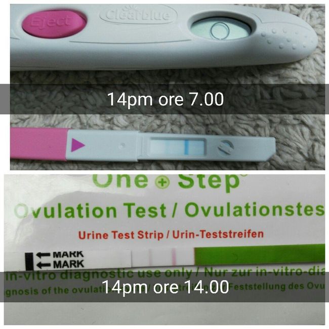 Clearblue vs canadesi: ovulation test - 3