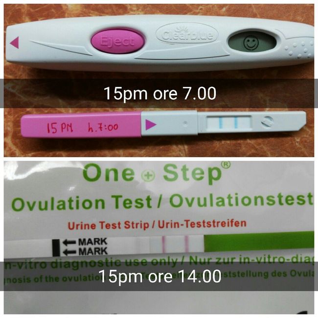 Clearblue vs canadesi: ovulation test - 4