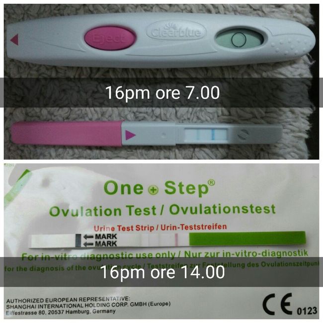 Clearblue vs canadesi: ovulation test - 5