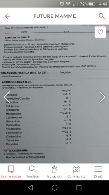 Morale a terra... - 1