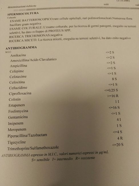 Spermiogramma peggiorato: c'è un batterio! 5