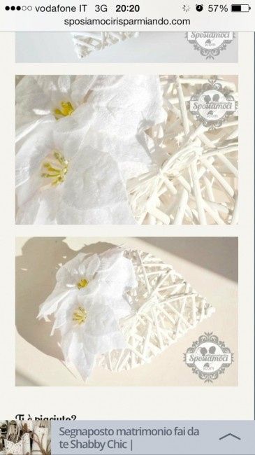 Dove posso trovarli? - 1