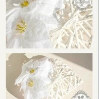 Dove posso trovarli? - 1