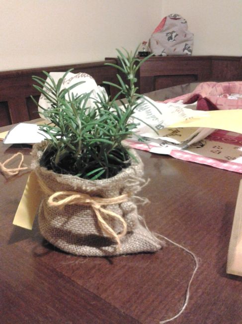 bomboniera ai profumi di aromi 2