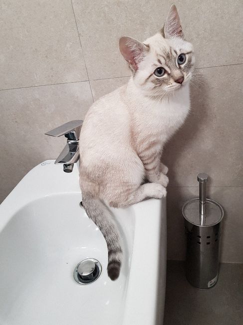  La famiglia si allarga 😂 - 1