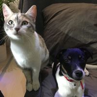 Collaboratori pelosi ❤️ - 1