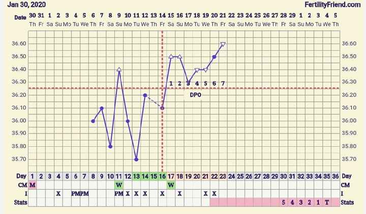 Temperatura basale e muco... pre ciclo o gravidanza??? - 1