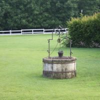 Il giardino