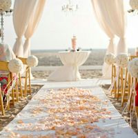 Stelle marine e conchiglie - 1