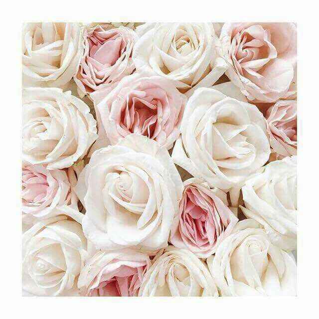 Quale bouquet scegliere tra questi? - 1