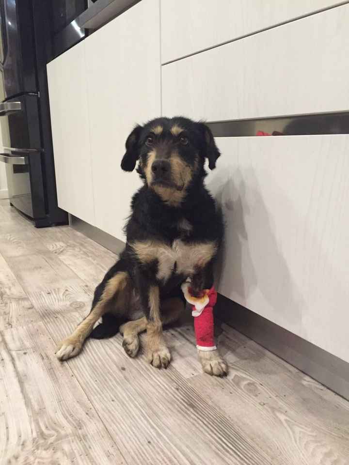 Orgogliosa del mio uomo!!! - 1