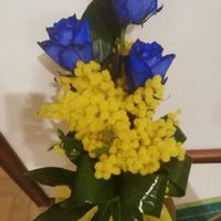 Mostratemi le Mimose! - 1