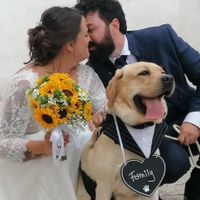 Lo rifarei mille volte - 1