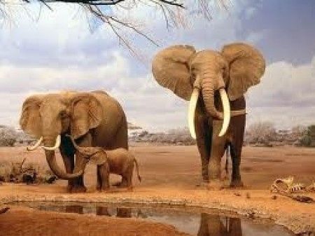 sud africa