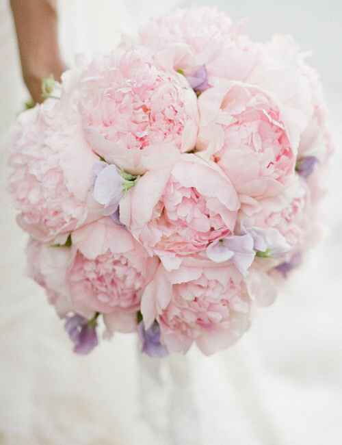  Bouquet sposa 👰🏽 - 1