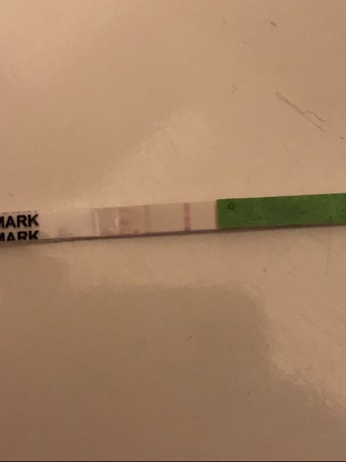 Test canadese positivo 2