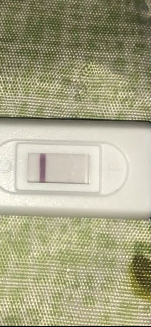 Test gravidanza - 5