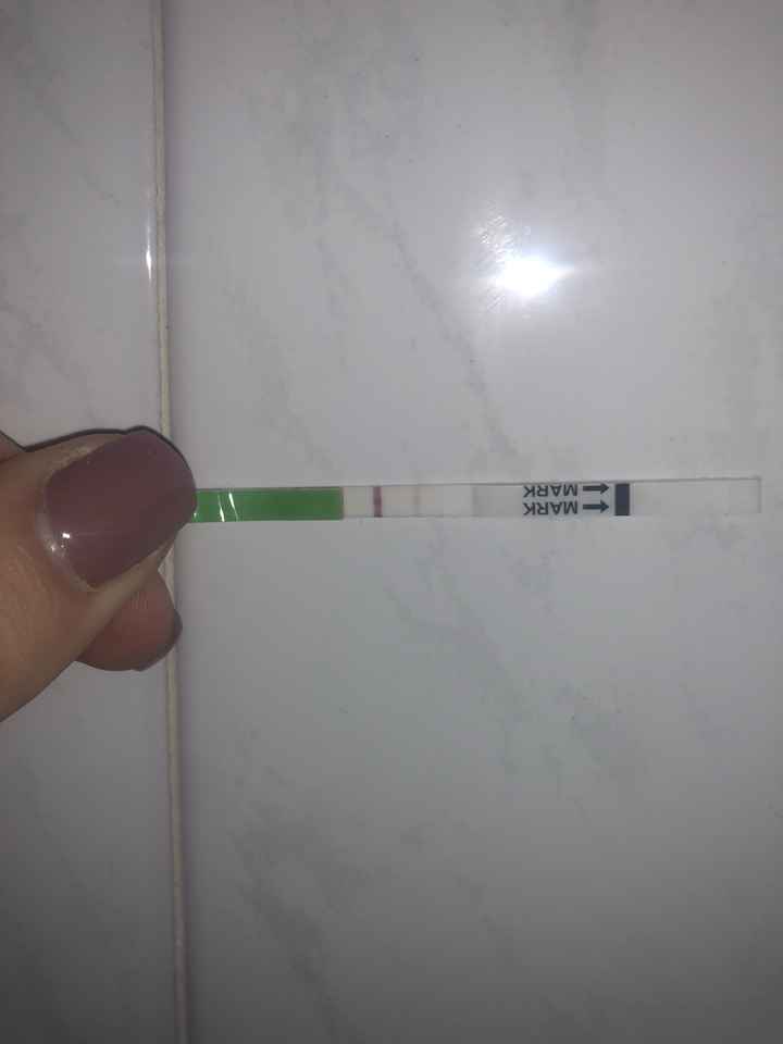 21 gg di ciclo stick positivo - 1