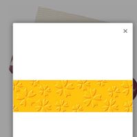 Cartoncino goffrato - 2