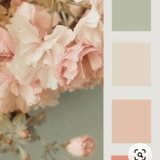 Che tipo di colori avranno le tue nozze? 1